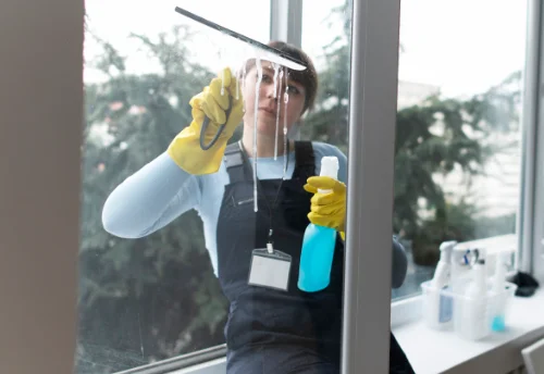 Nettoyage de vitres intérieures et extérieures à Ceaux-en-Loudun